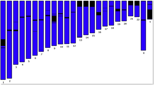 HumanGenome