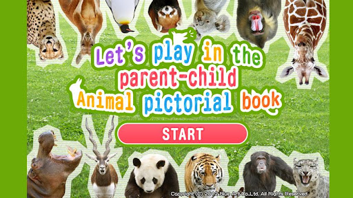 Animal pictorial book