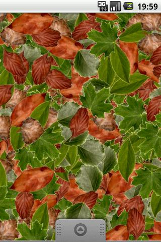 Leaves simple LWP