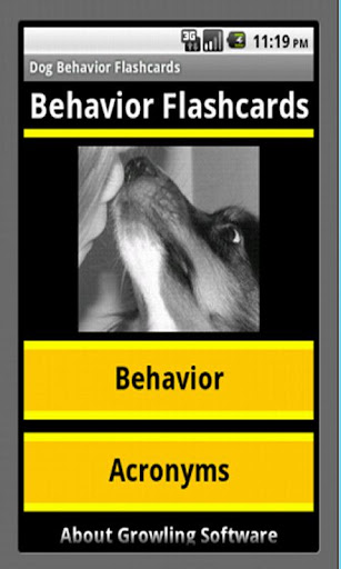 Dog Behavior Flashcards