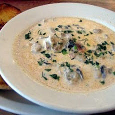 Oyster Chowder