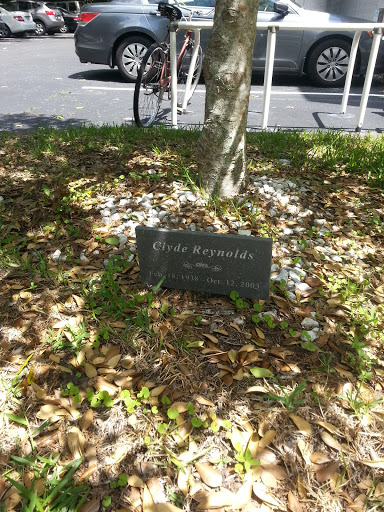 Clyde Reynolds Memorial Tree