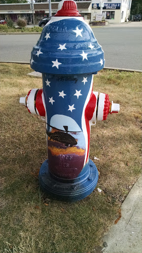Adopt a Hydrant - America's Heroes
