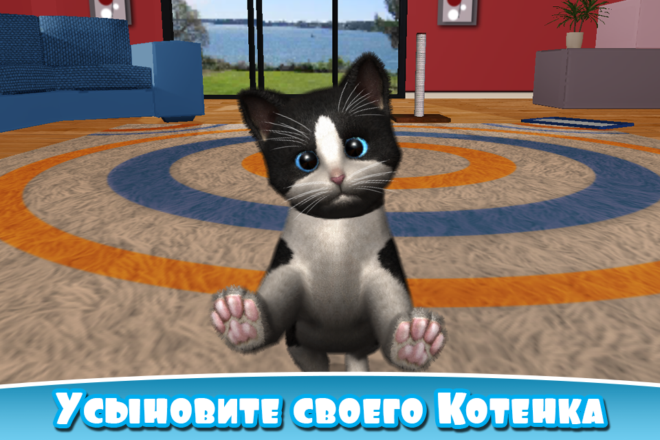 Android application Daily Kitten : virtual cat pet screenshort