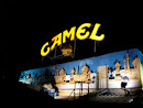 The Camel