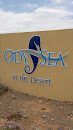 Ody Sea in the Desert