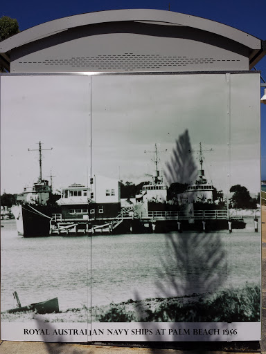 Royal Australian Navy Ships at Palm Beach 1956