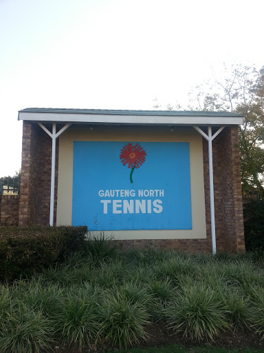 Gauteng North Tennis Mural