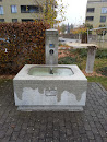 Rothrist Altersheim Brunnen