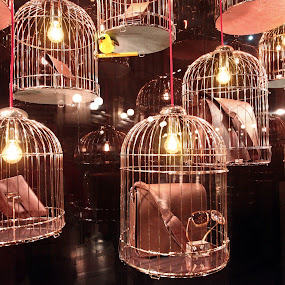 by Elena Cosma - Artistic Objects Other Objects