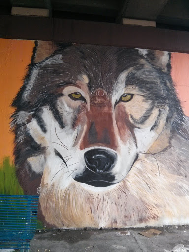 El Lobo Estepario Mural 