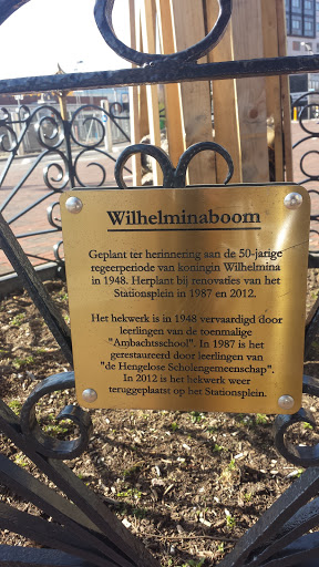 Wilhelminaboom
