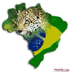 z-orgulho-brasileiro13