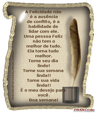 z-boa-semana14
