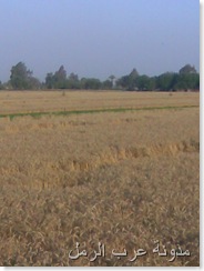صورة006