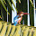 Birds of Western Ghats
