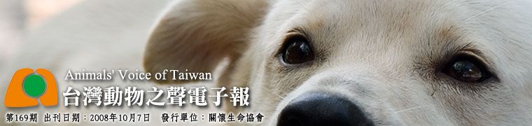 台灣動物之聲電子報第169期