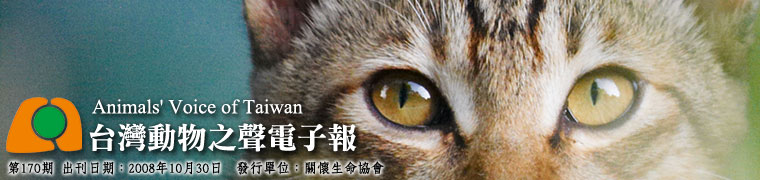 台灣動物之聲第169期