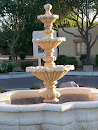 Museum Fountain