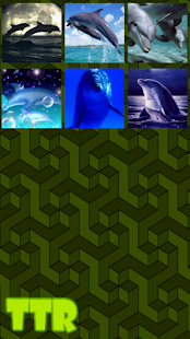 How to install Dolphin Sliding Puzzle lastet apk for bluestacks