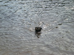 DSCN0521