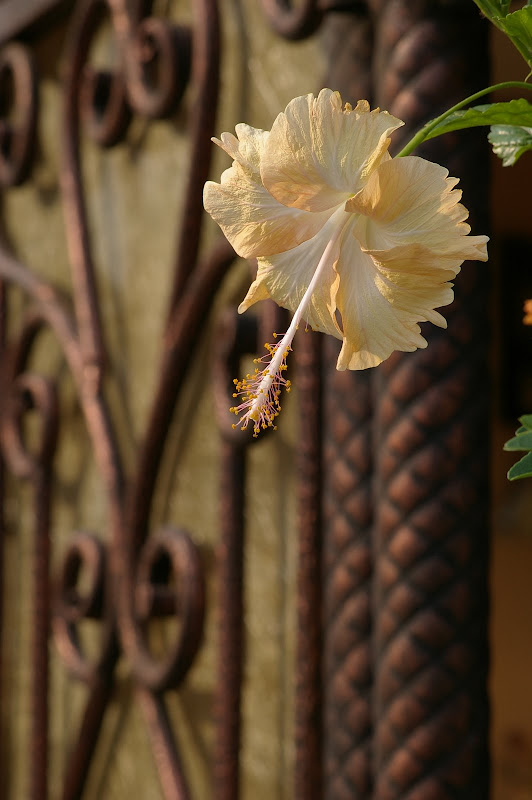 ISO200, F9.0
