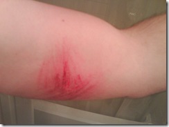 DSC00007