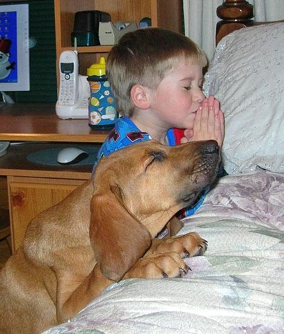 [dogpraying[1].jpg]