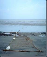 051 fishing net
