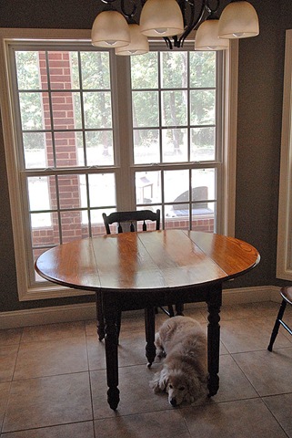 [dietz table[4].jpg]