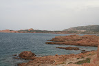 IMG_2729.JPG