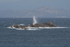 IMG_2148.JPG