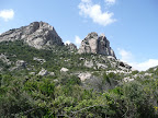P1010332.JPG