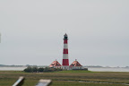 IMG_5000.JPG