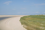 IMG_6121.JPG