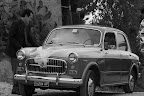 IMG_5545.JPG