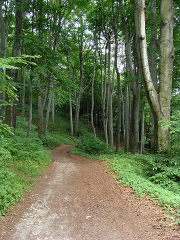 [DSC005322.jpg]