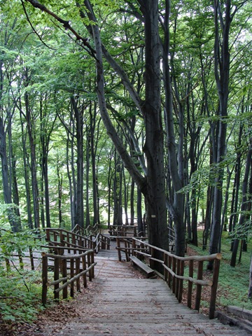 [DSC005202.jpg]