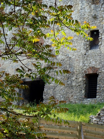 [DSC004862.jpg]