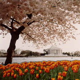 Dedication - Washington, DC