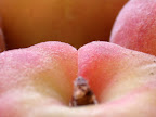 Donut peach macro