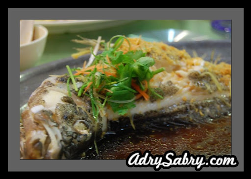 Ikan Stim