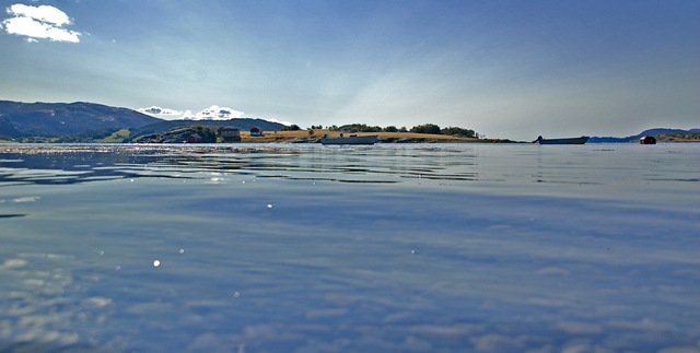 [DSC_9738copy3.jpg]
