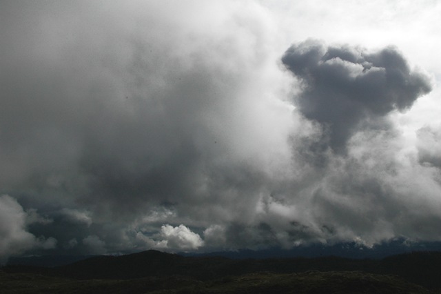 [DSC_8659copy4.jpg]