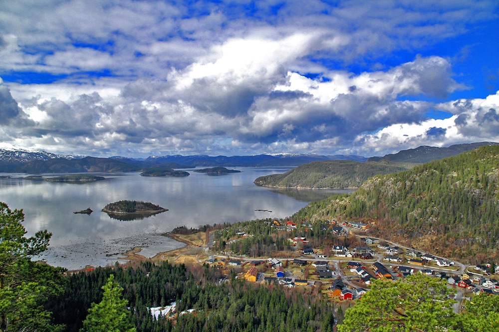 [DSC_1435[1].jpg]