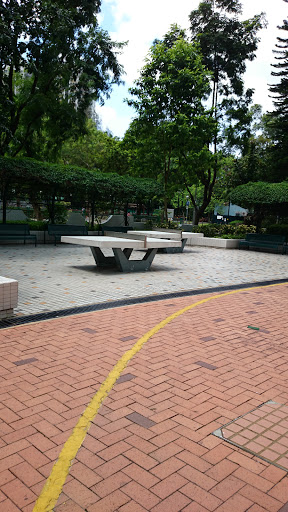 Stone Made Table Tennis Court