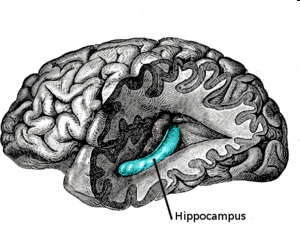 [image11.png]
