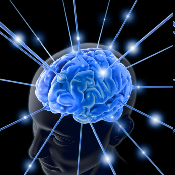 [image410.png]