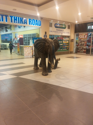 Thika Road Elephant