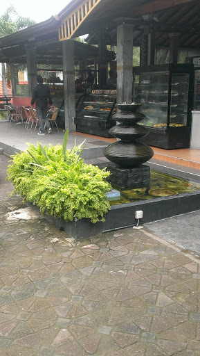 Fountain at Sasha